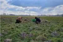 کشف «دروازۀ 800 ساله» به کمک «موش‌های کور»