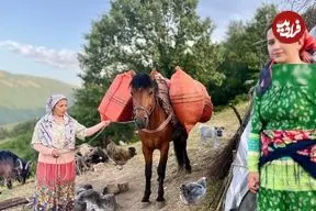 ببینید| غذای روستایی در ایران؛ دوشیدن شیر گاو، تهیه کره و پخت املت در کوهستان
