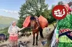 ببینید| غذای روستایی در ایران؛ دوشیدن شیر گاو، تهیه کره و پخت املت در کوهستان