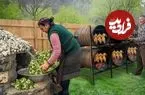 ببینید| غذای روستایی در آذربایجان؛ دودی کردن مرغ در بشکه و پخت خوراک مرغ و کلم بروکلی
