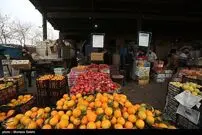 ذخیره‌سازی ۵ هزار تن میوه شب عید در پایتخت 