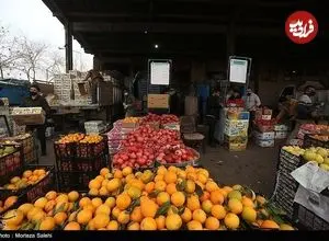ذخیره‌سازی ۵ هزار تن میوه شب عید در پایتخت 