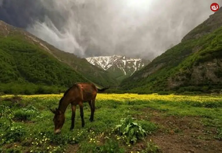 تصاویر| از آبشارهای پنهان تا دشت‌های مرتفع؛ در فصل گرما کجا آب و هوا تازه کنیم؟
