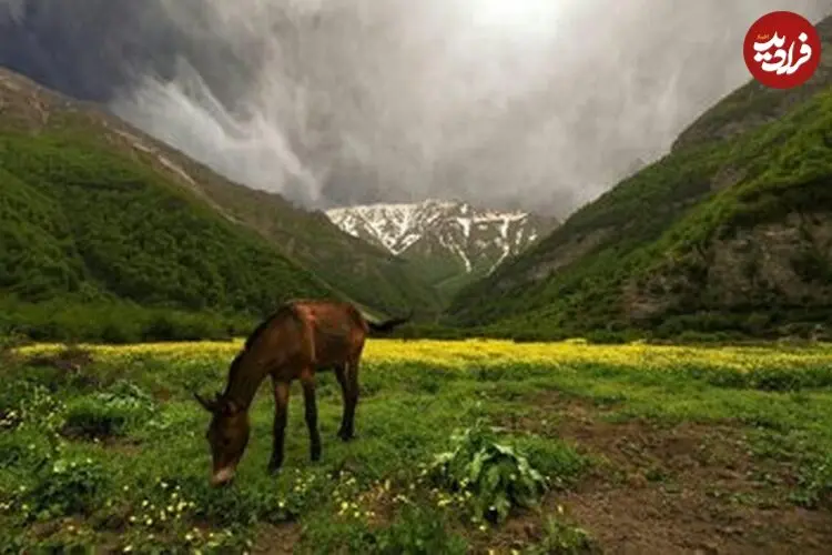 تصاویر| از آبشارهای پنهان تا دشت‌های مرتفع؛ در فصل گرما کجا آب و هوا تازه کنیم؟