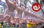 ببینید؛ نگاهی به یک کارخانه فرآوری مرغ در چین