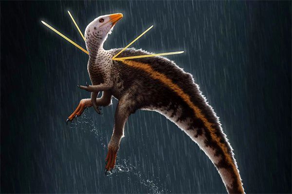 کشف فسیل گونه جدید دایناسور با ویژگی ظاهری منحصر به فرد
