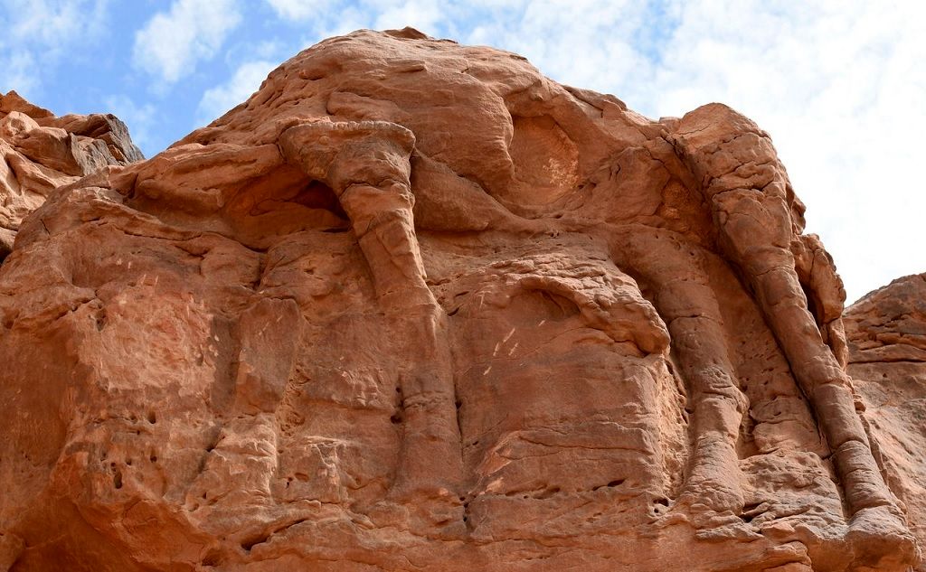 (تصاویر) شترهای سنگی عربستان؛ ۳ هزار سال قدیمی‌تر از اهرام مصر!