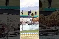 (ویدئو) تعقیب و گریز باورنکردنی خرس و 5 مرد روستایی روی بام خانه ها!