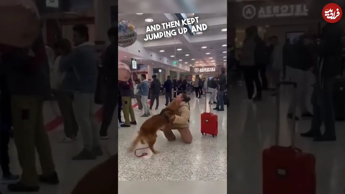 (ویدئو) ملاقات فوق احساسی این سگ با صاحب اش در فرودگاه پس از ماه‌ها
