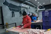 قیمت جدید مرغ در بازار
