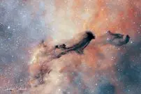 عکس روز ناسا از یک روح تاریک