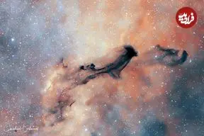 عکس روز ناسا از یک روح تاریک