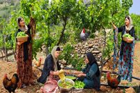 ببینید؛ غذای روستایی در کردستان؛ پخت دلمه و یک غذای سنتی با دنده بره
