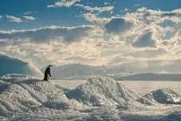 (تصاویر) ۱۲ کشور امن در صورت شروع جنگ جهانی سوم 