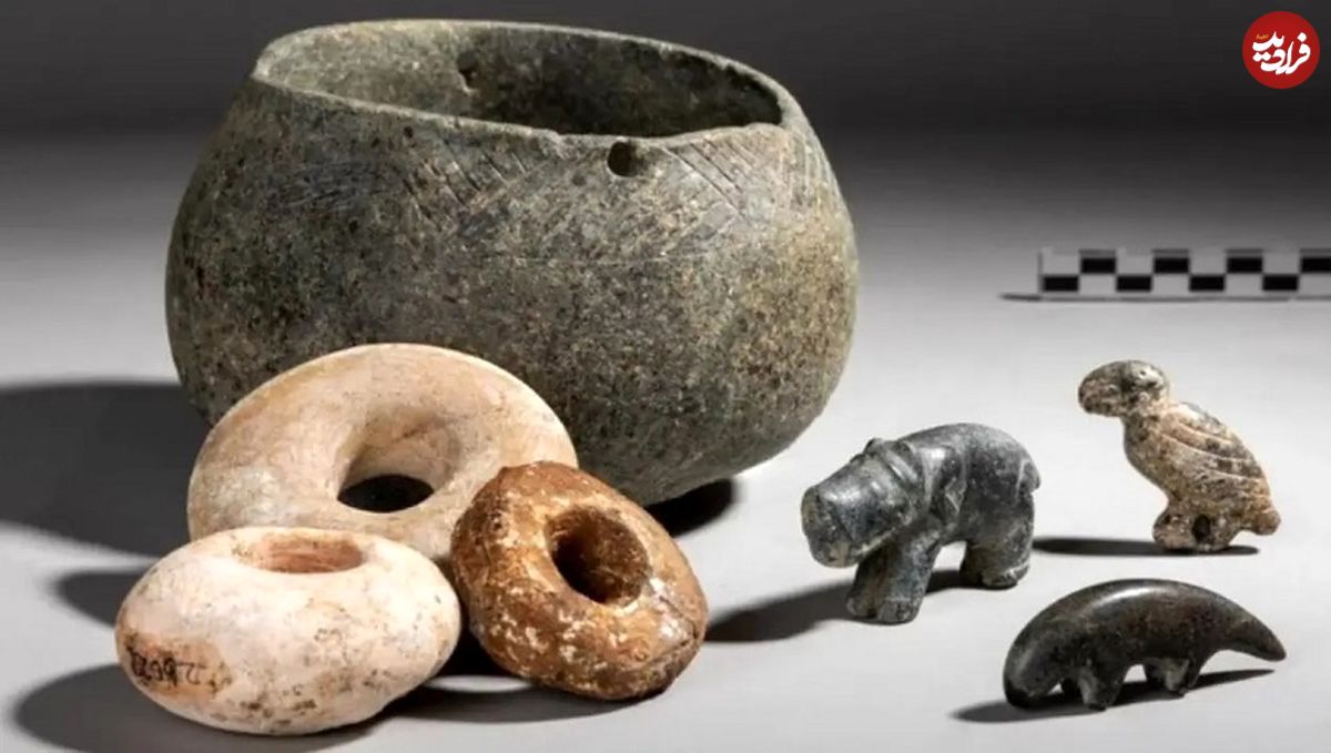 روباه، کرکس و گراز بعد از 12 هزار سال از یک ظرف سفالی بیرون آمدند