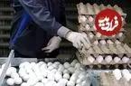 فروش تخم‌مرغ به بالاتر از این قیمت تخلف است؛ خریداران بخوانند