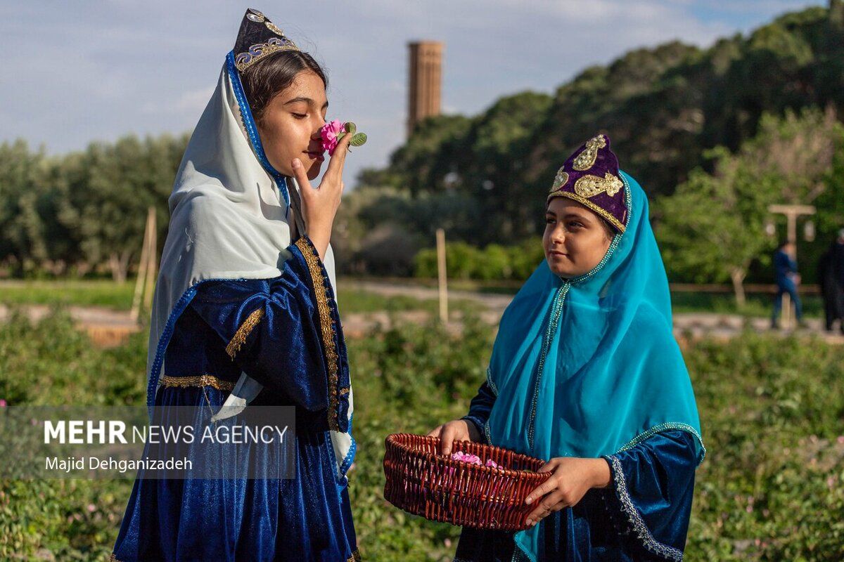 (تصاویر) احیای سنت گلاب گیری حرم رضوی در باغ دولت‌آباد یزد