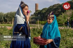 (تصاویر) احیای سنت گلاب گیری حرم رضوی در باغ دولت‌آباد یزد