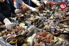 ببینید| غذای خیابانی در کره؛ پخت غذاهای سنتی و محبوب با صدف در سئول