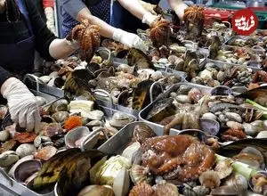 ببینید| غذای خیابانی در کره؛ پخت غذاهای سنتی و محبوب با صدف در سئول