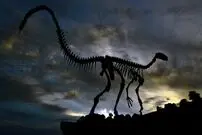 یک دایناسور جدید در بزریل پیدا شد