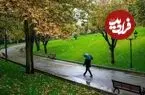 عکس| سفر زمان؛ منظرۀ زیبای «یک پارک در تهران» در دوران احمدشاه