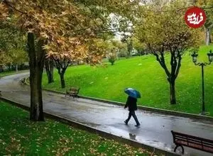 عکس| سفر زمان؛ منظرۀ زیبای «یک پارک در تهران» در دوران احمدشاه