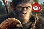 (تصاویر) چرا هالیوود میمون‌ها و گوریل‌ها را رها نمی‌کند؟