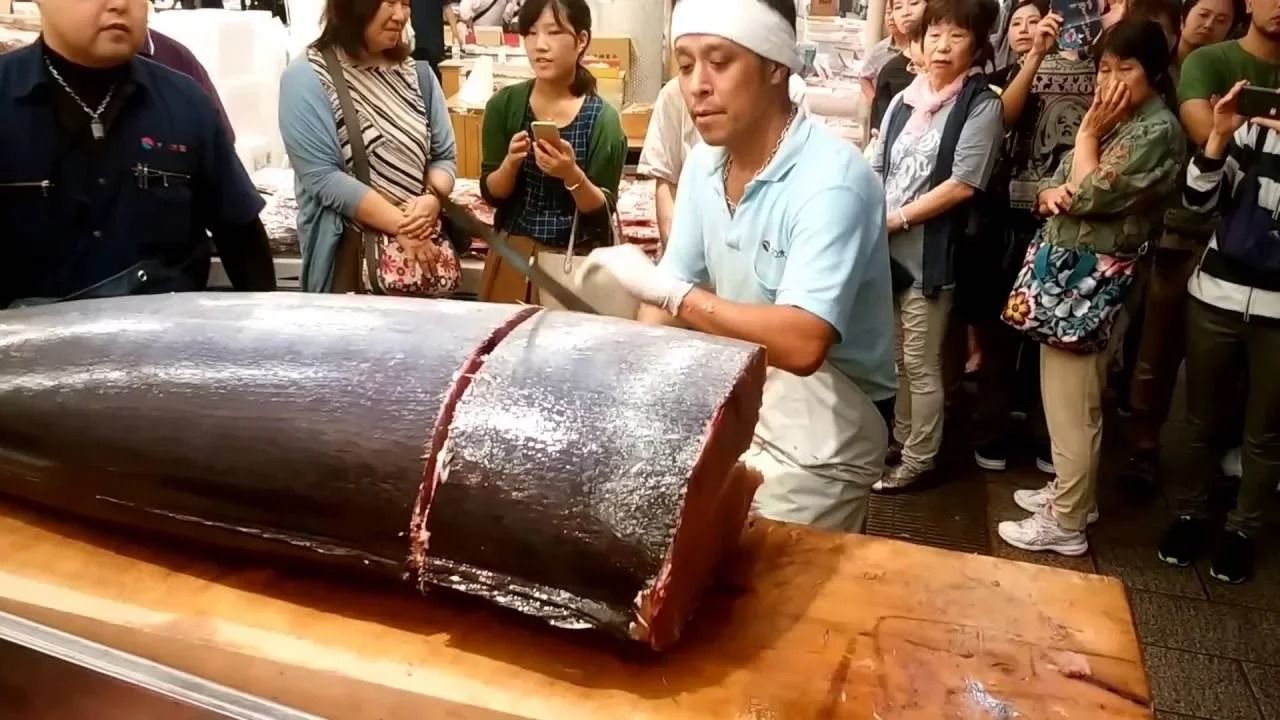 (ویدئو) تکه تکه کردن ماهی تن عظیم الجثه توسط استاد مشهور ژاپنی