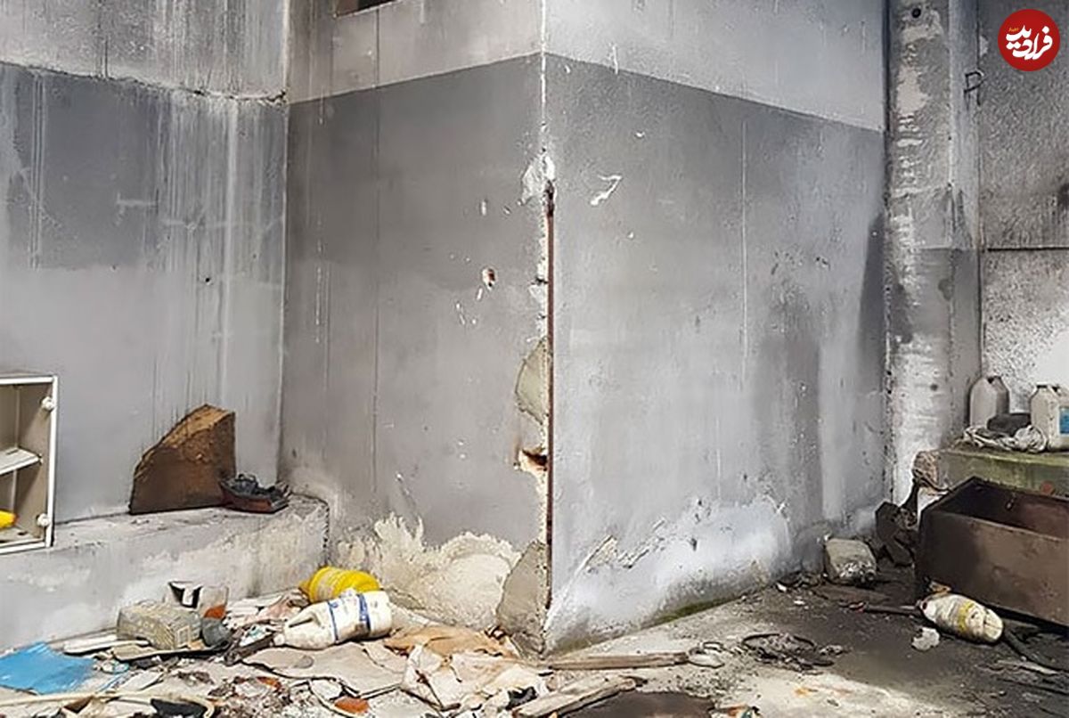 عکس؛ هنر خیابانی؛ هنرمند خلاق پرتغالی این «دیوار معمولی» را به یک «سوسک غولپیکر» تبدیل کرده است