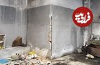 عکس؛ هنر خیابانی؛ هنرمند خلاق پرتغالی این «دیوار معمولی» را به یک «سوسک غول‌پیکر» تبدیل کرده است