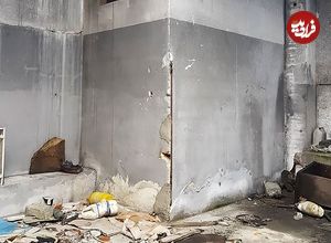 عکس؛ هنر خیابانی؛ هنرمند خلاق پرتغالی این «دیوار معمولی» را به یک «سوسک غول‌پیکر» تبدیل کرده است