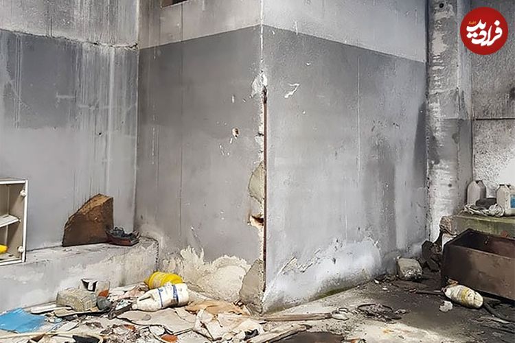 عکس؛ هنر خیابانی؛ هنرمند خلاق پرتغالی این «دیوار معمولی» را به یک «سوسک غول‌پیکر» تبدیل کرده است