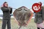 ببینید| غذای روستایی در اوکراین؛ کباب کردن سفره ماهی و پخت جگر آن در هوای برفی