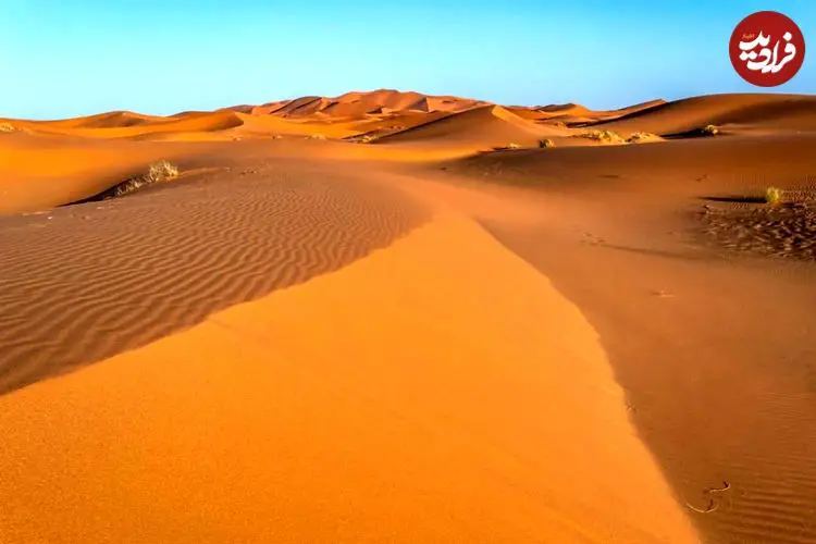 پهناورترین بیابان گرم جهان کجاست؟