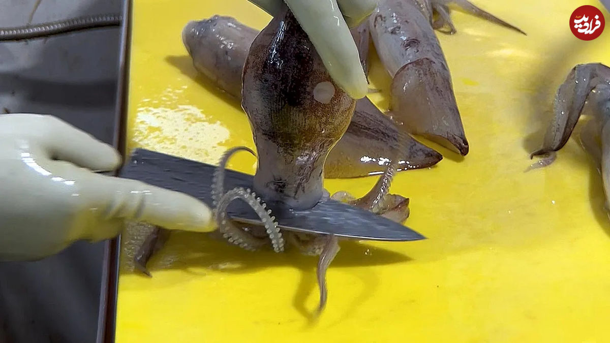 (ویدئو) غذای خیابانی در کره؛ سرو ماهی مرکب خام در سئول!