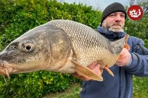 ببینید| غذای روستایی در آذربایجان؛ پخت ماهی کپور به روش سنتی در گِل و در تنور