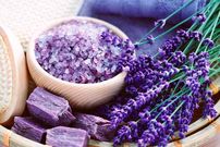 گیاهان دشمن استرس، چه گیاهانی هستند؟