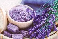 گیاهان دشمن استرس، چه گیاهانی هستند؟