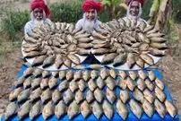 ببینید| غذای روستایی در هند؛ پخت خوراک با ماهی تیلاپیا توسط 3 پدربزرگ 70 ساله در جنگل