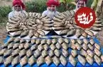 ببینید| غذای روستایی در هند؛ پخت خوراک با ماهی تیلاپیا توسط 3 پدربزرگ 70 ساله در جنگل