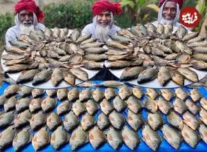 ببینید| غذای روستایی در هند؛ پخت خوراک با ماهی تیلاپیا توسط 3 پدربزرگ 70 ساله در جنگل