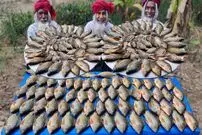 ببینید| غذای روستایی در هند؛ پخت خوراک با ماهی تیلاپیا توسط 3 پدربزرگ 70 ساله در جنگل
