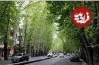 عکس| سفر زمان؛ «برش سنگین برف در خیابان ولیعصر تهران»؛ سال 1340