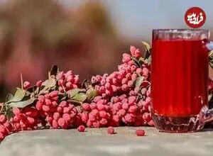 دانه کوچک و ترش اما «ابرغذا»؛ زرشک چه فوایدی برای بدن دارد؟