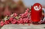 دانه کوچک و ترش اما «ابرغذا»؛ زرشک چه فوایدی برای بدن دارد؟