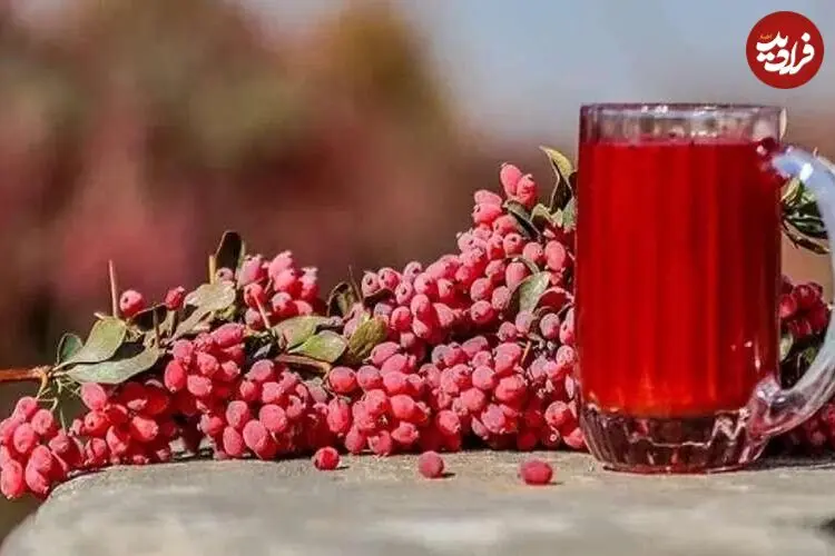 دانه کوچک و ترش اما «ابرغذا»؛ زرشک چه فوایدی برای بدن دارد؟