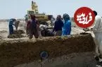 رد پای بیابان در ایران؛ کانون‌های گرد و غبار کشور ۲ برابر شد