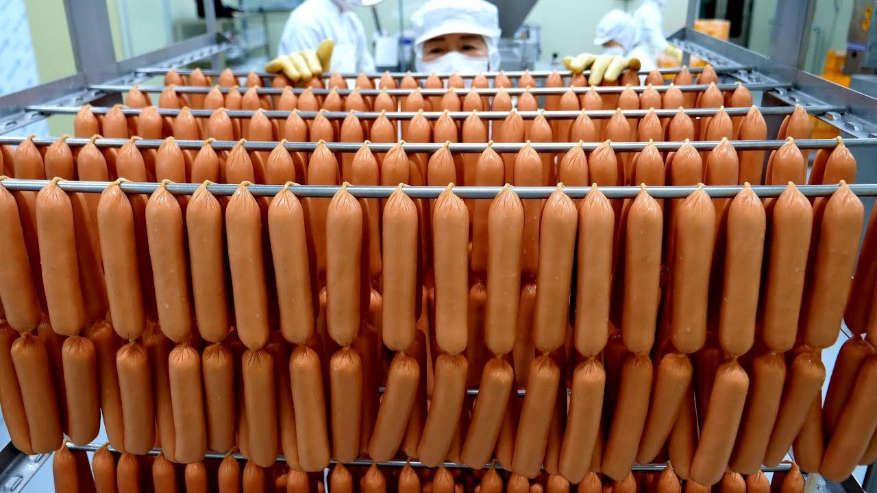 (ویدئو) فرآیند صفر تا صد تولید سوسیس در یک کارخانه معروف