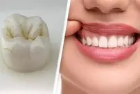 6 سال دیگر صبر کنید؛ دندان‌هایتان دوباره درمی‌آیند!